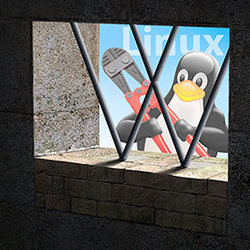Tux зовёт на свободу узника замка Windows. Рисунок автора статьи и сайта